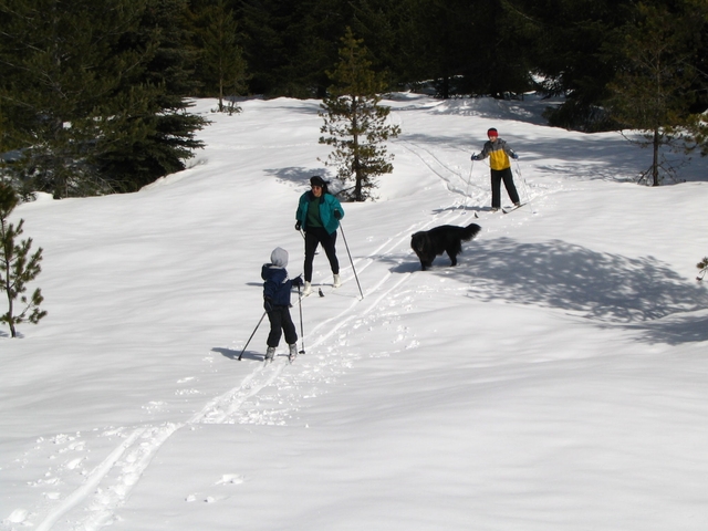 Family adventure