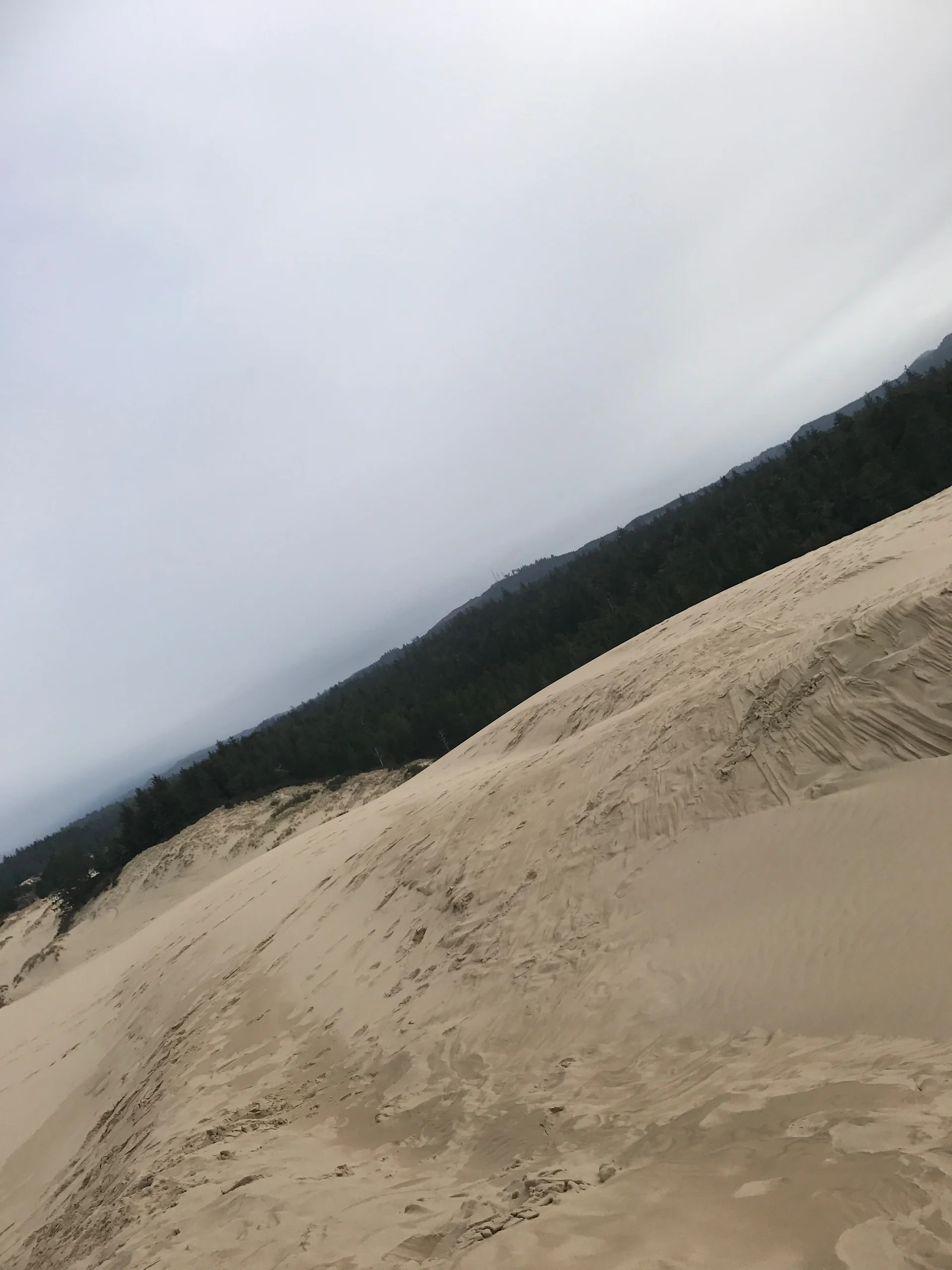 Family adventure