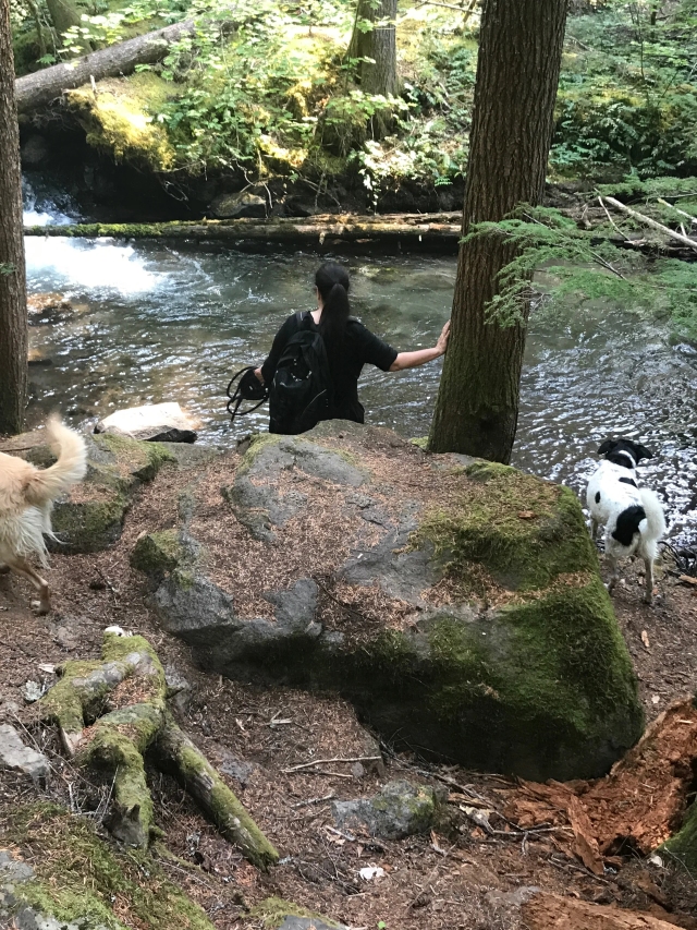 Family adventure