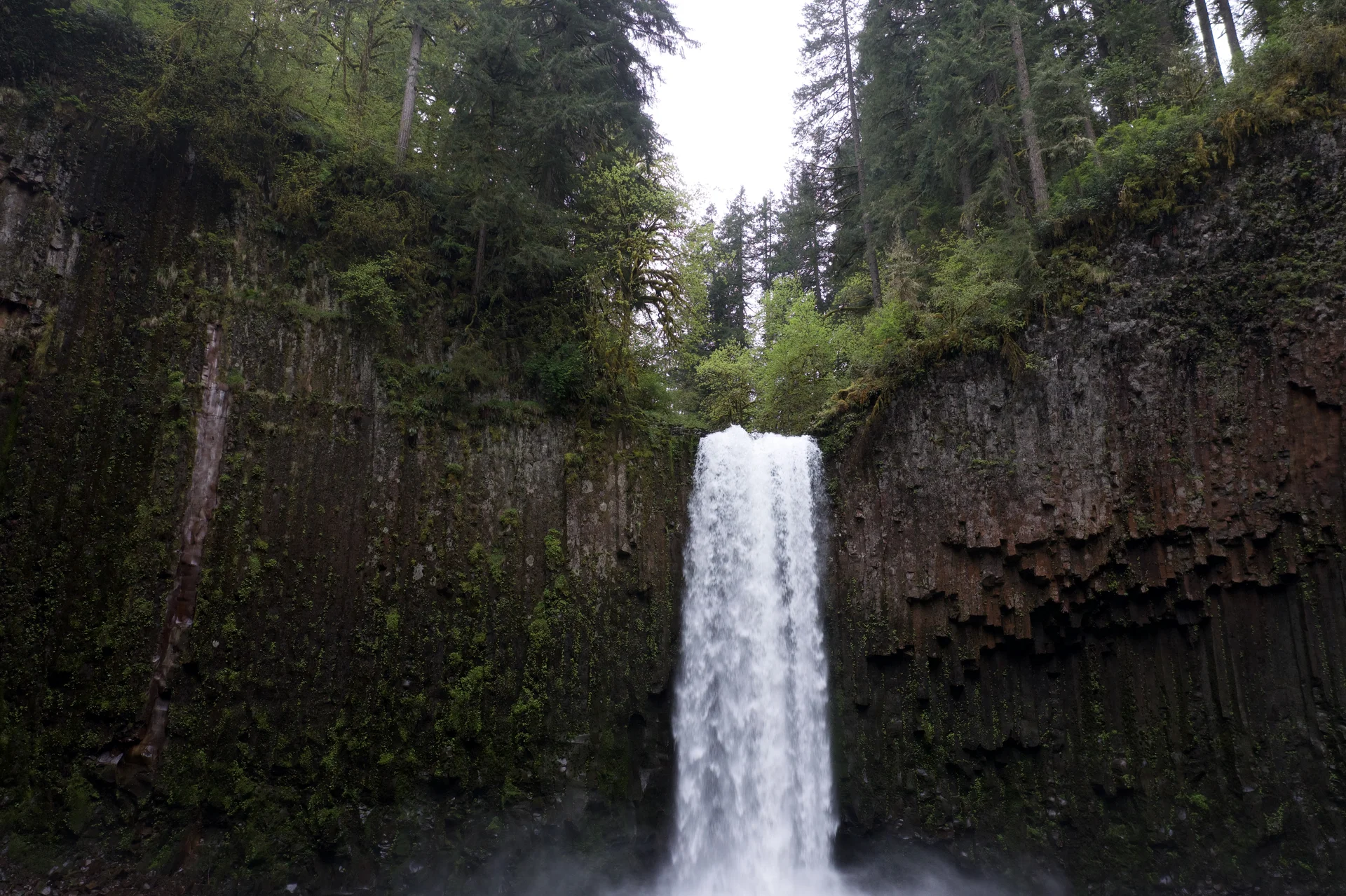 Abiqua Falls, OR adventure