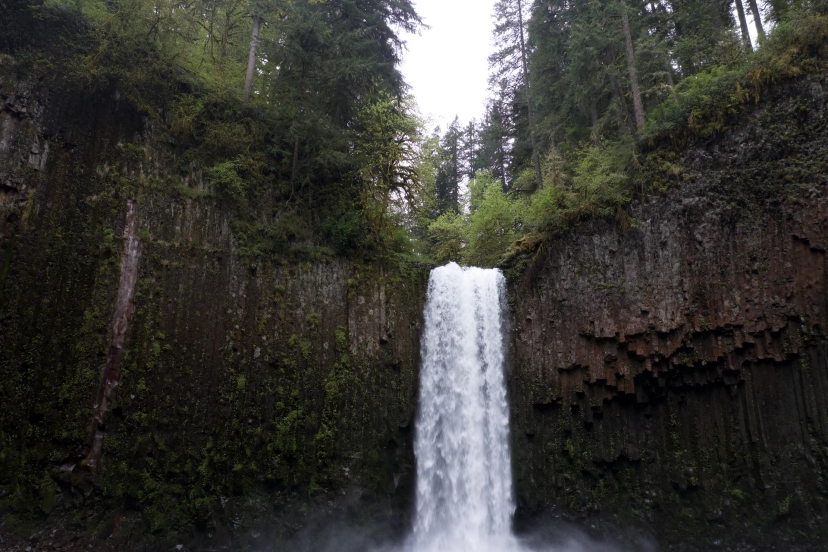 Abiqua Falls, OR adventure