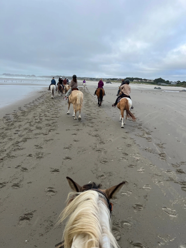 Family adventure