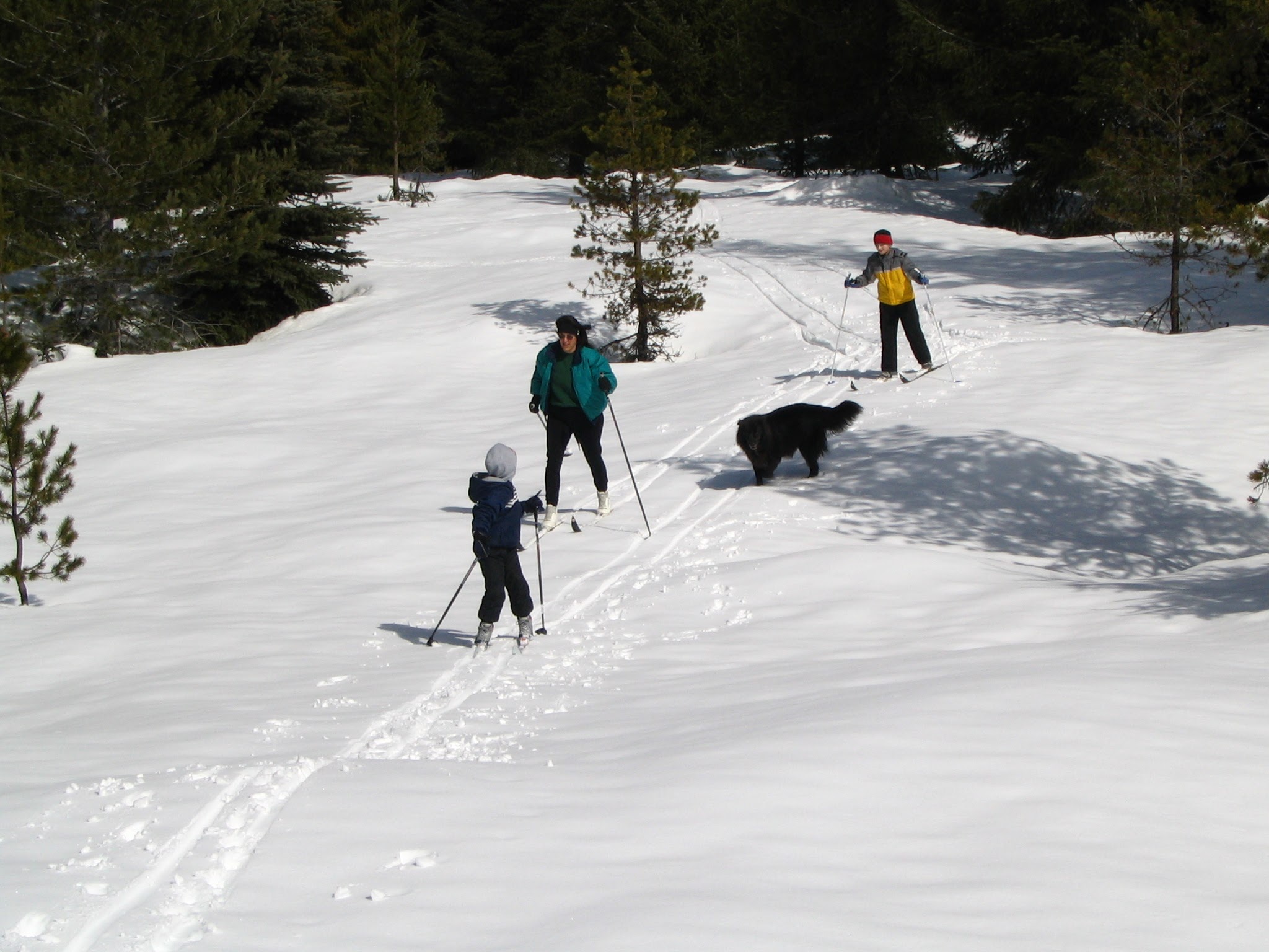 Family adventure