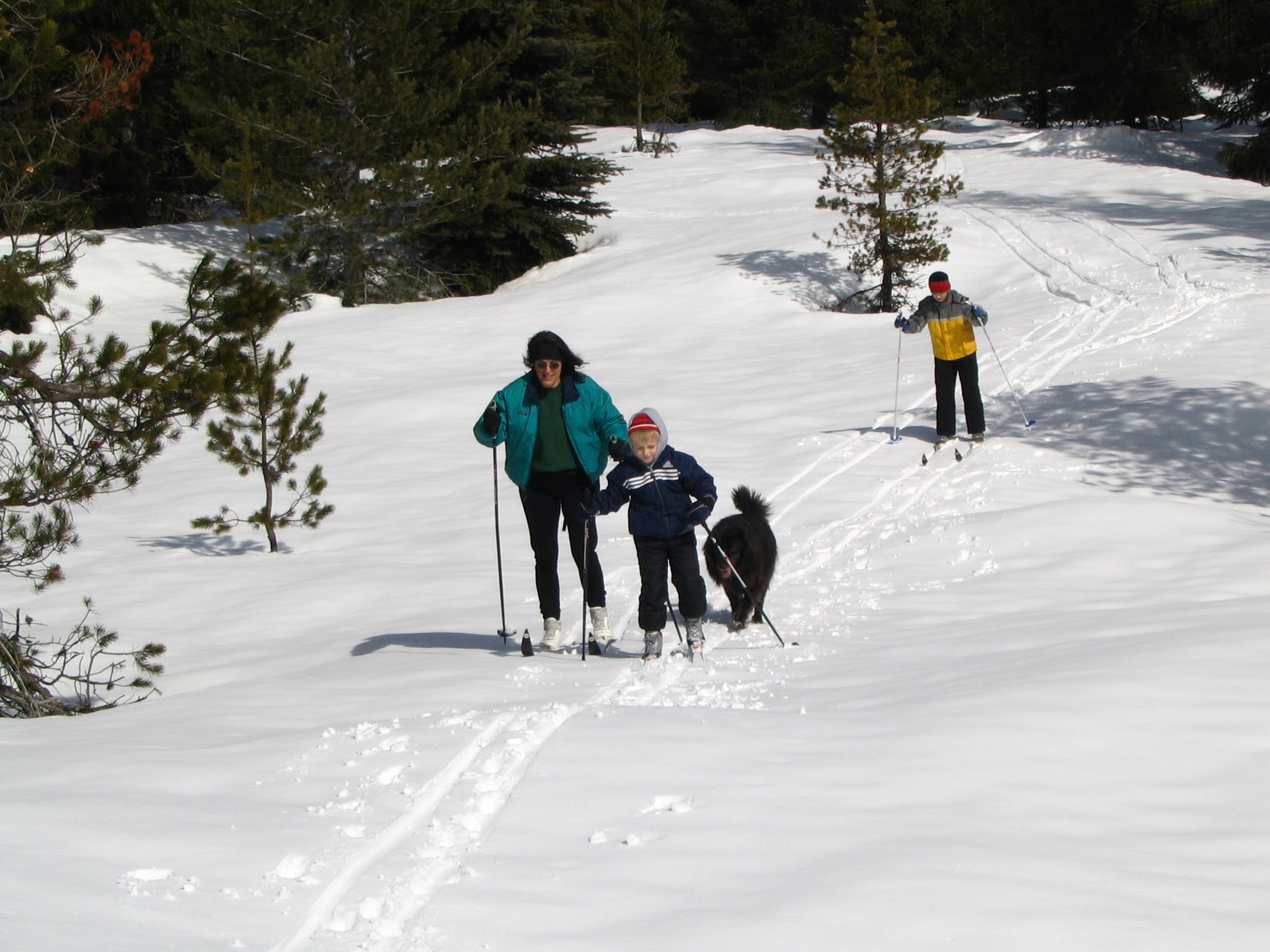 Family adventure