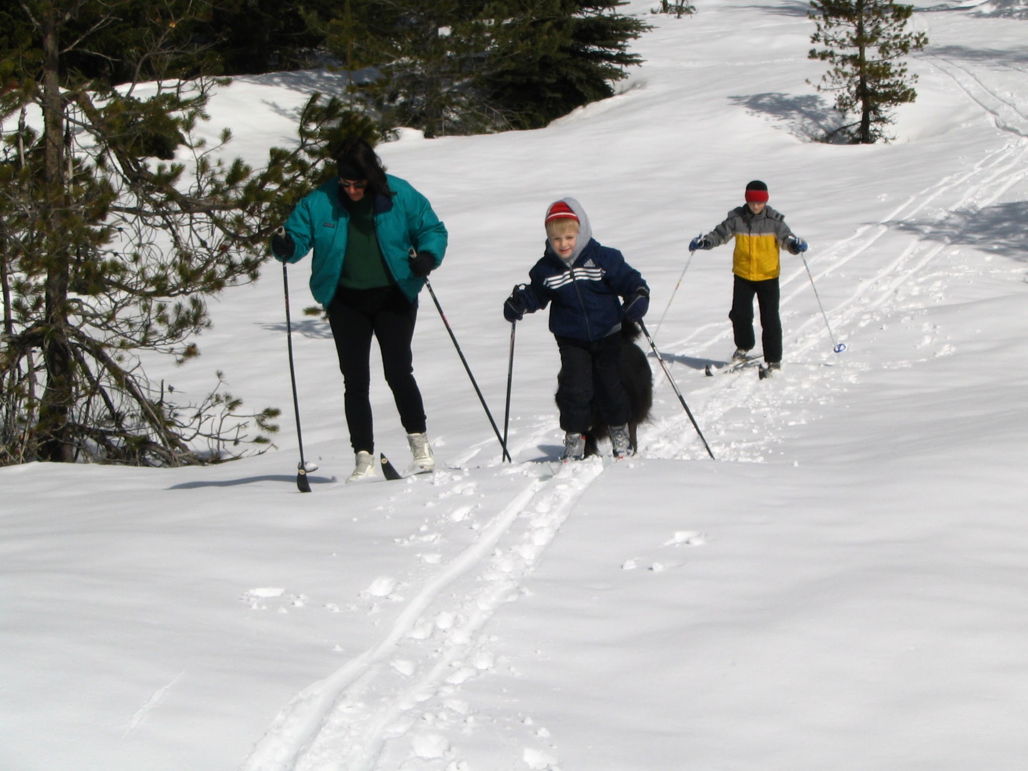 Family adventure