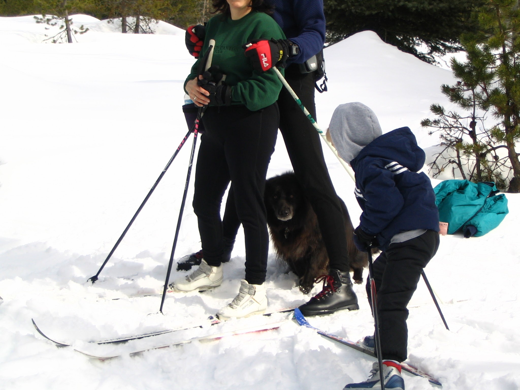 Family adventure