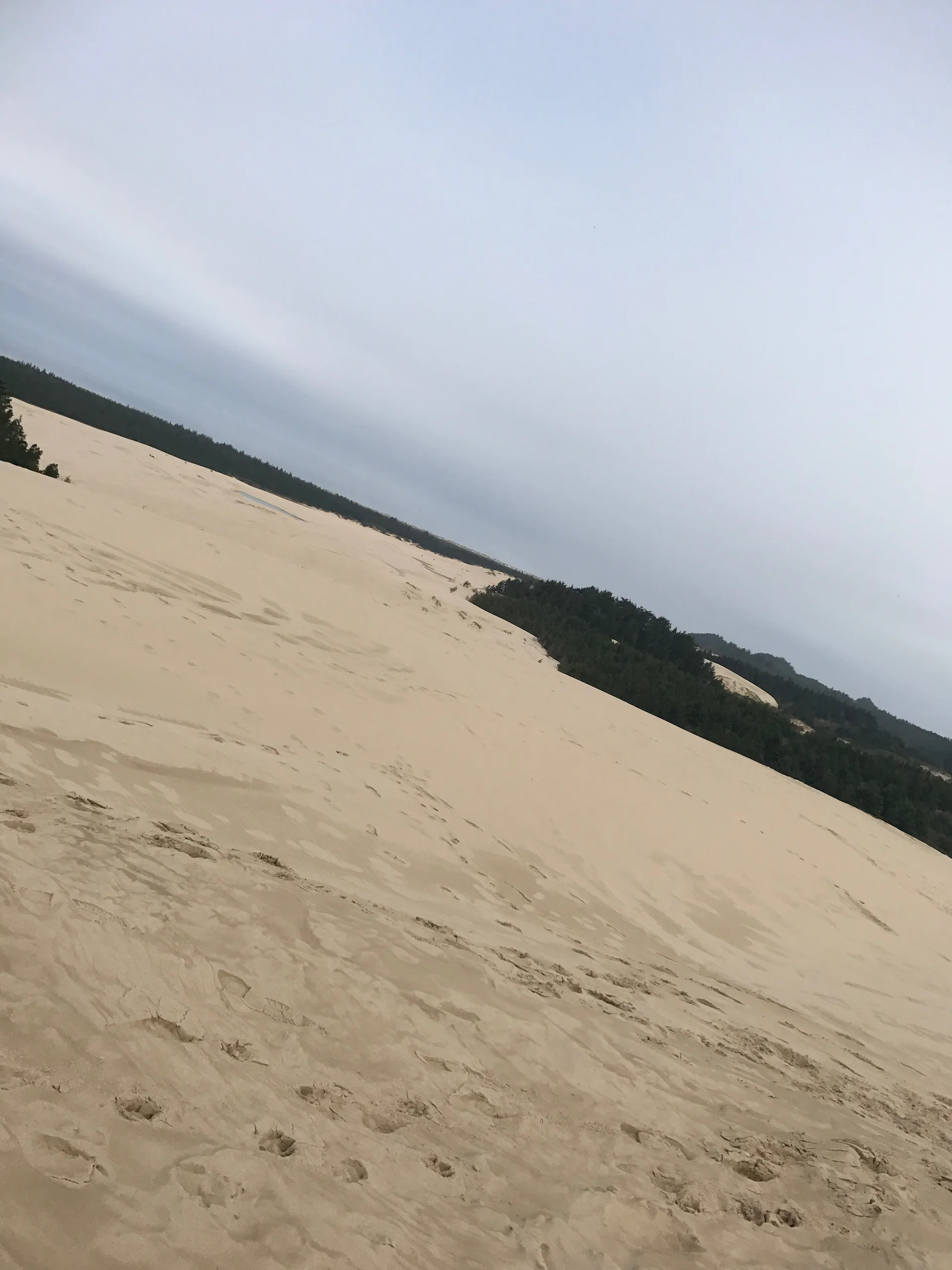 Family adventure