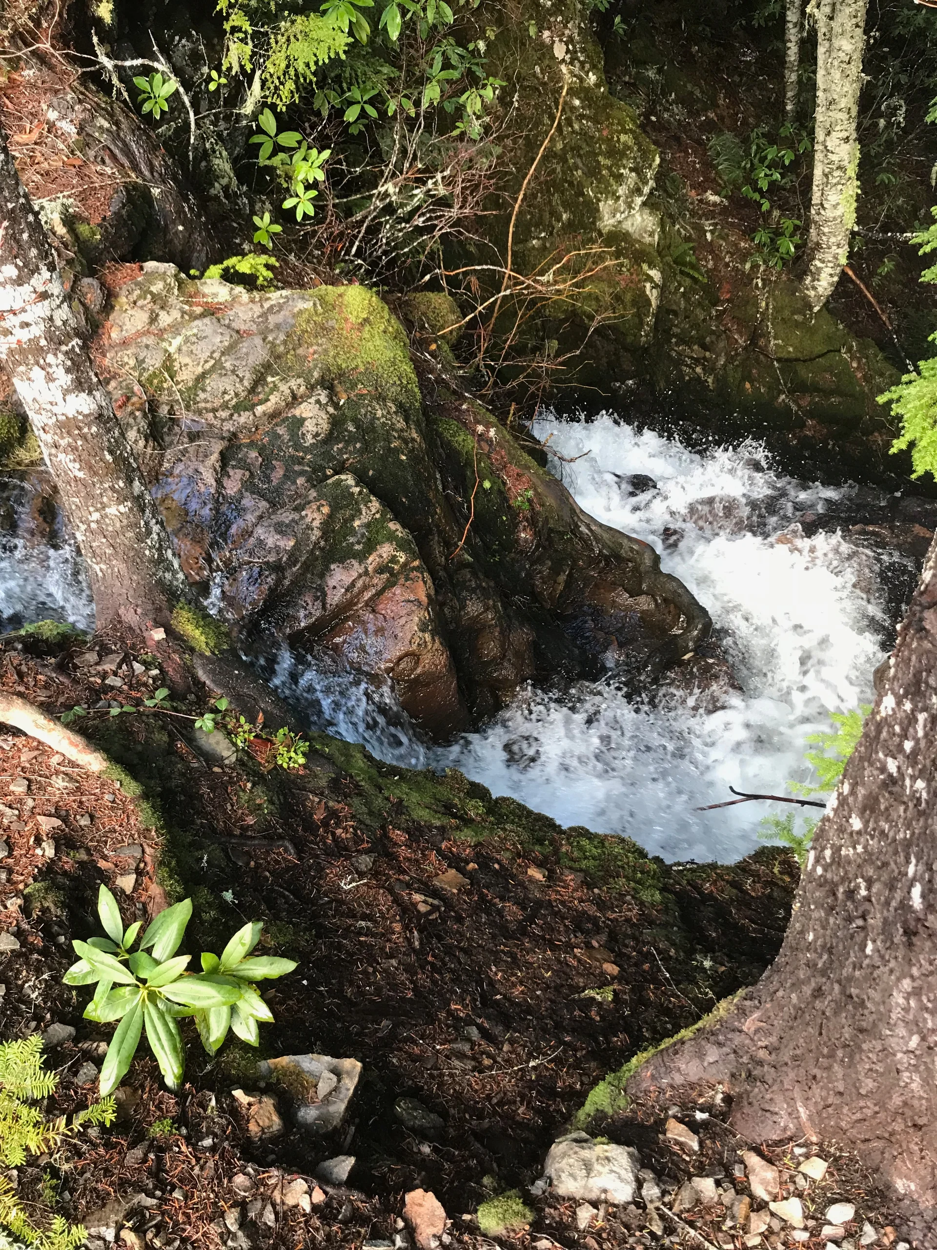 Family adventure