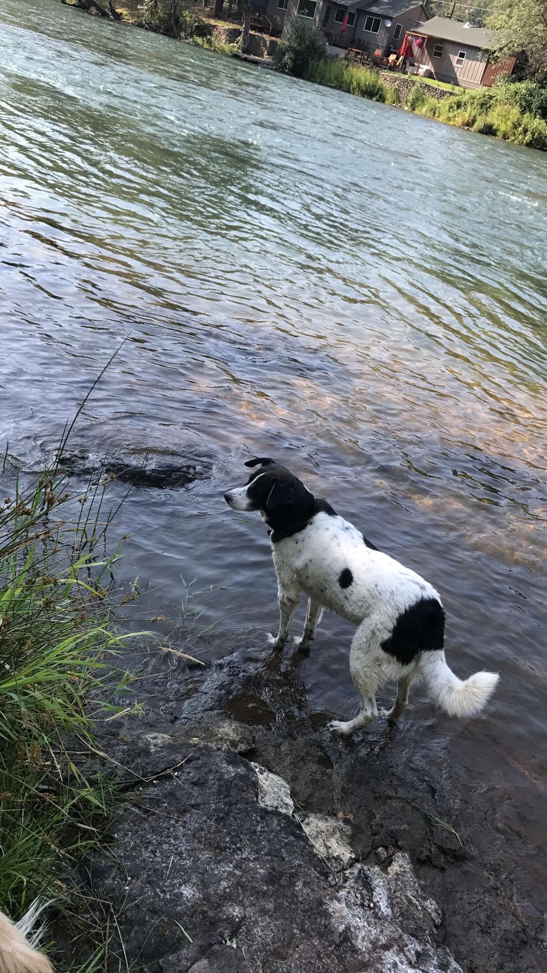 Family adventure