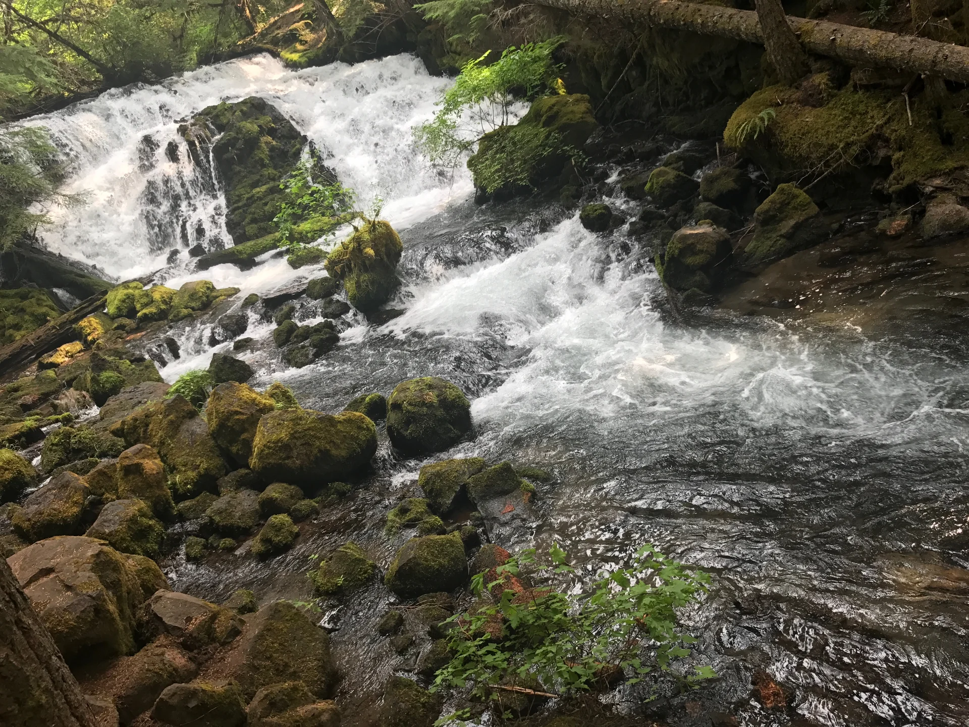 Family adventure