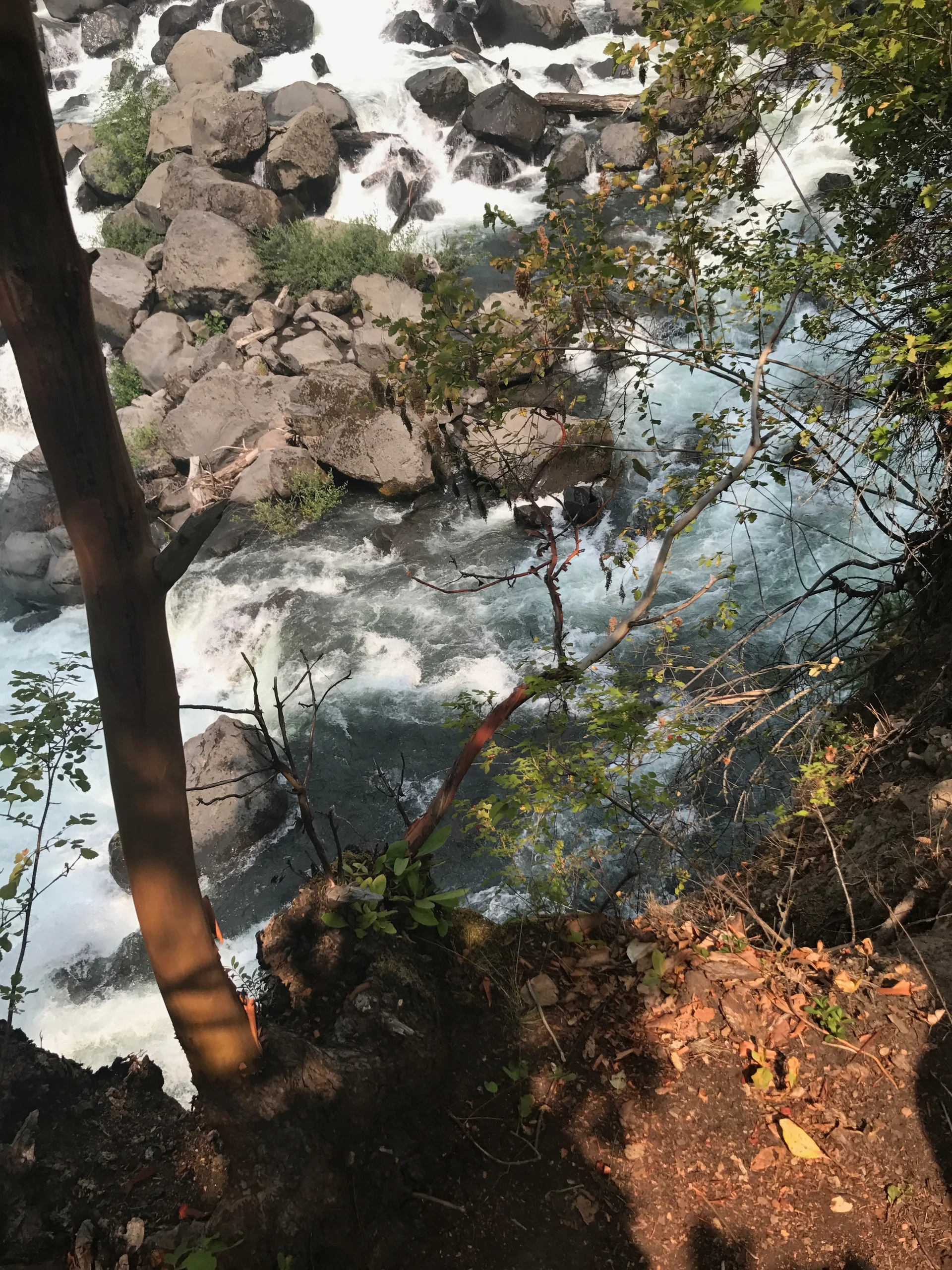 Family adventure