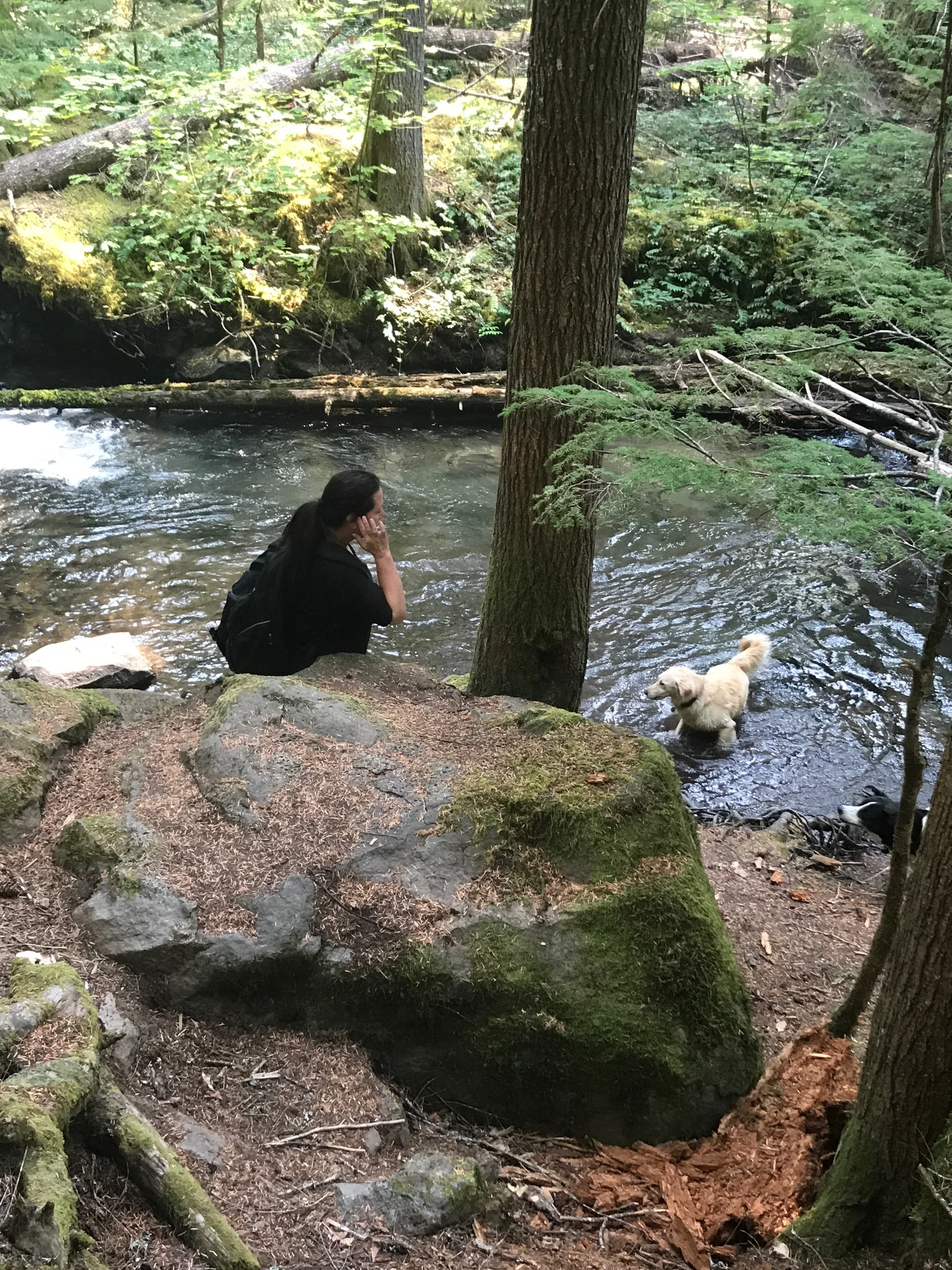 Family adventure