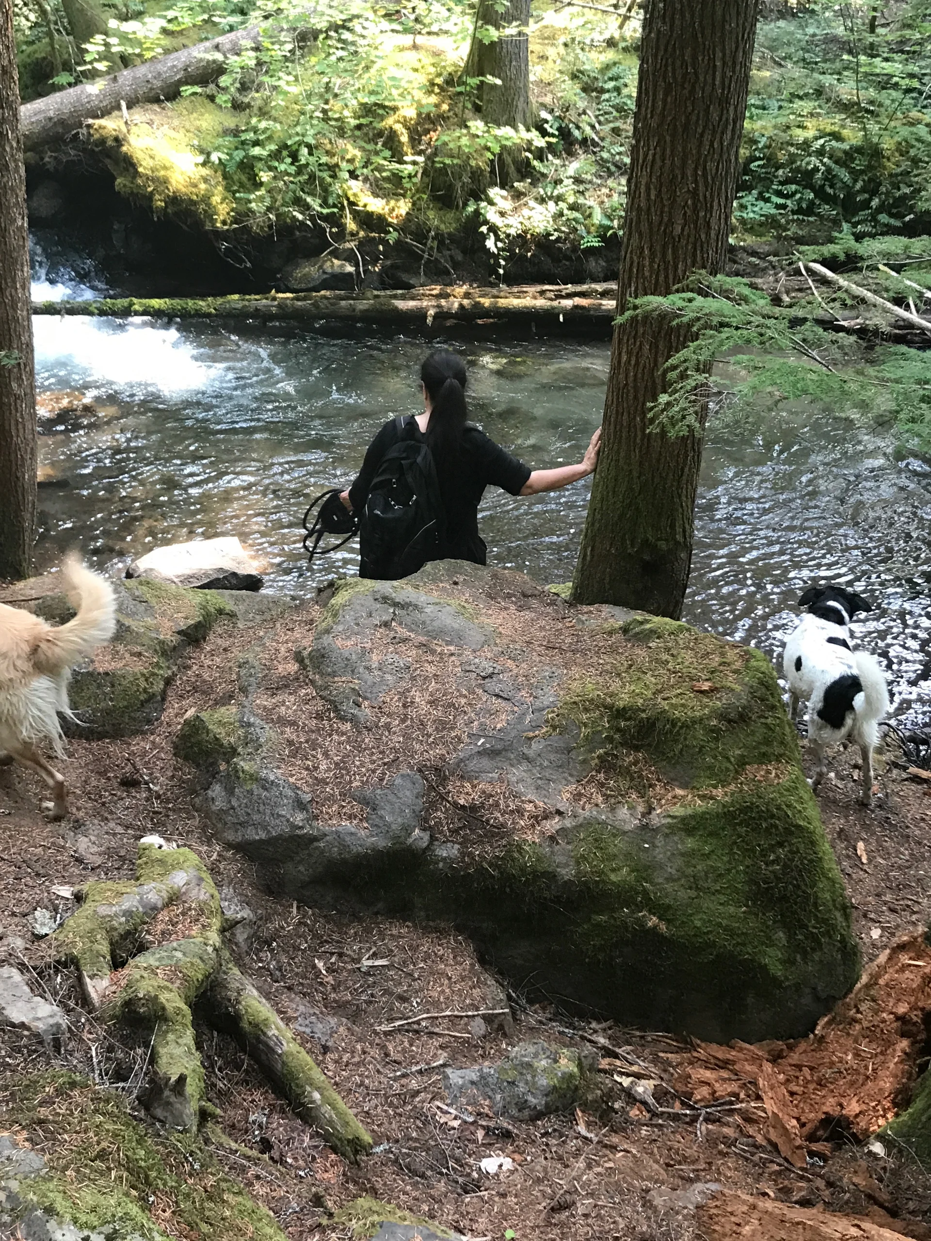 Family adventure