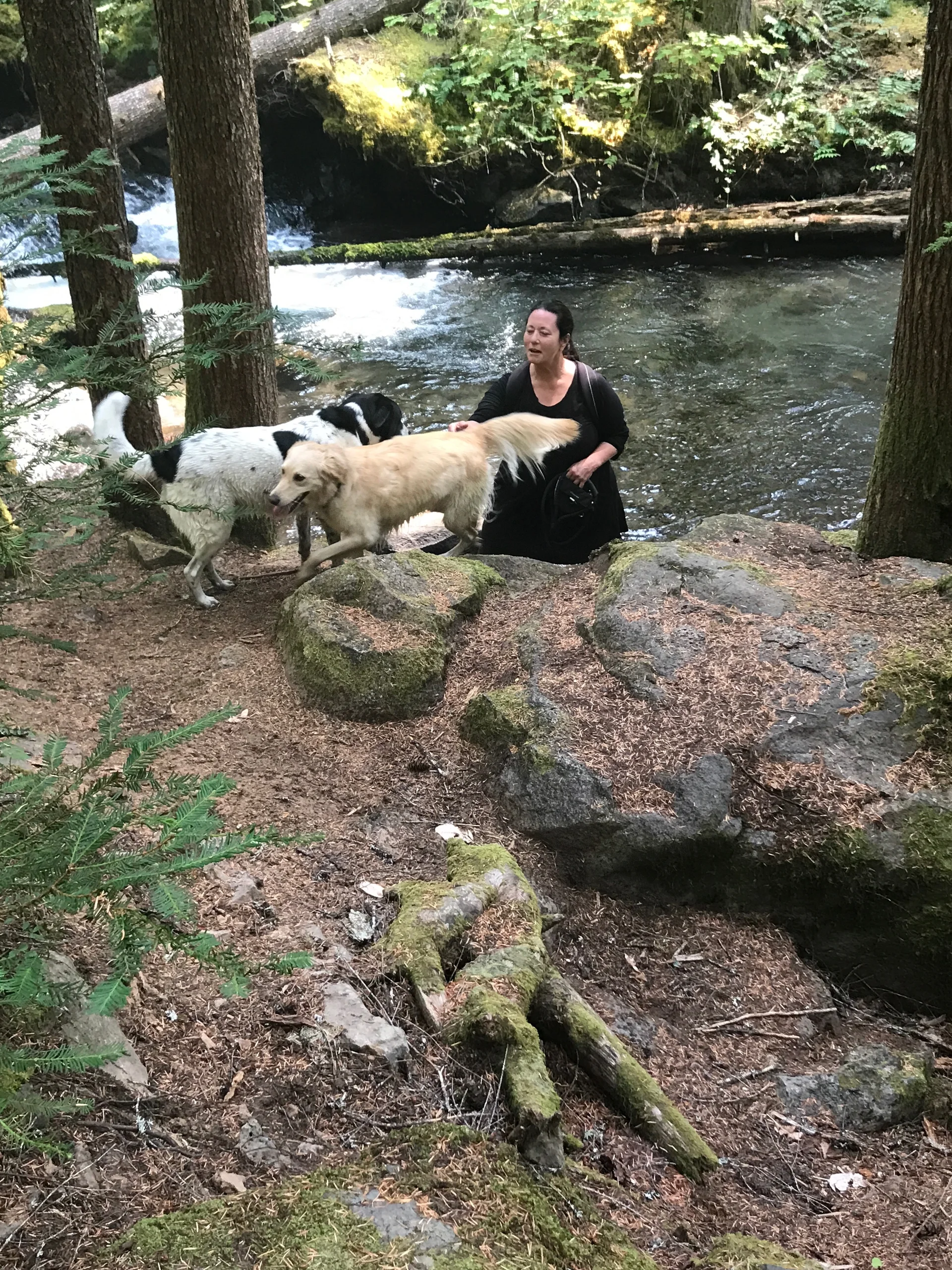 Family adventure