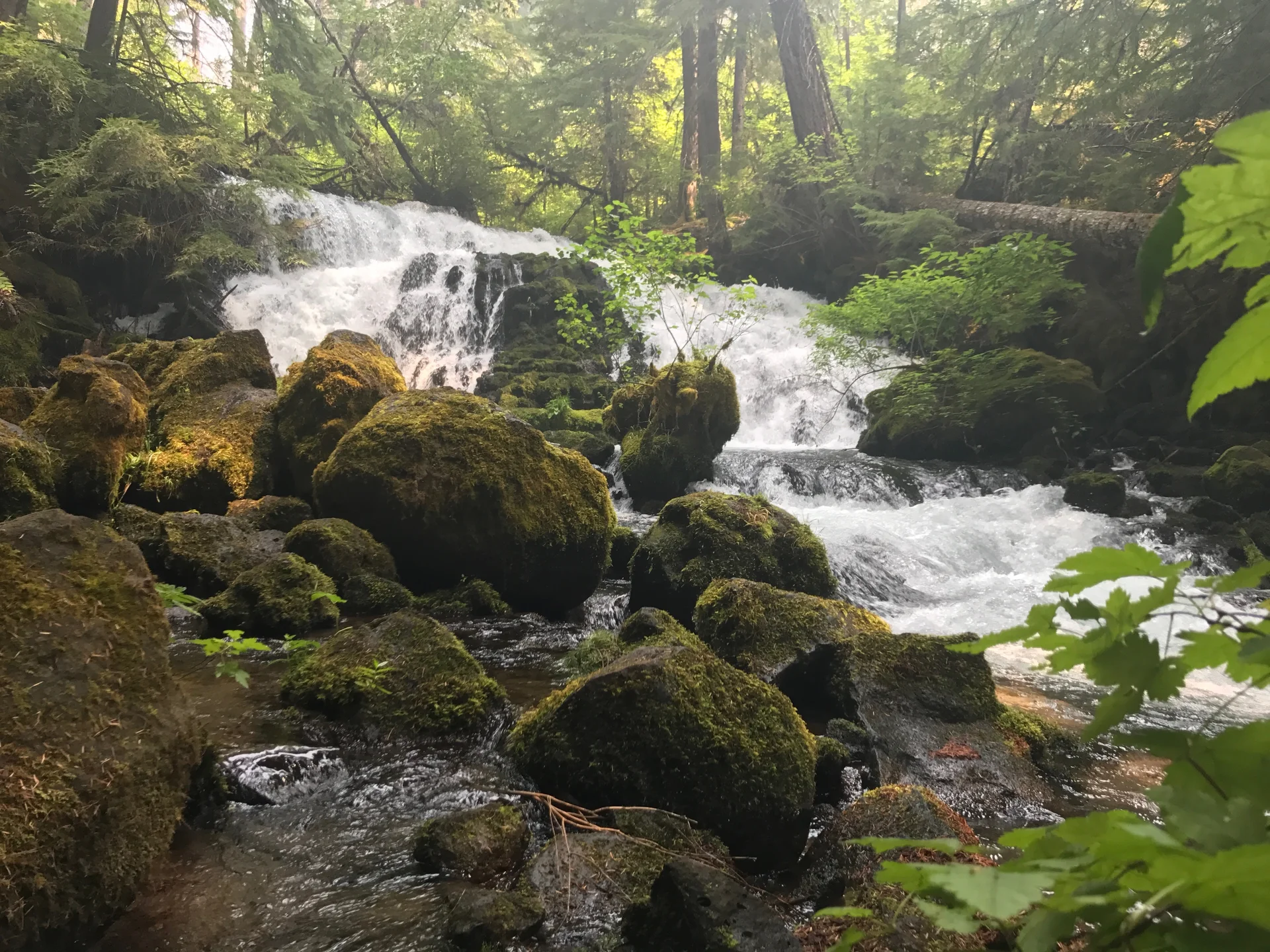 Family adventure