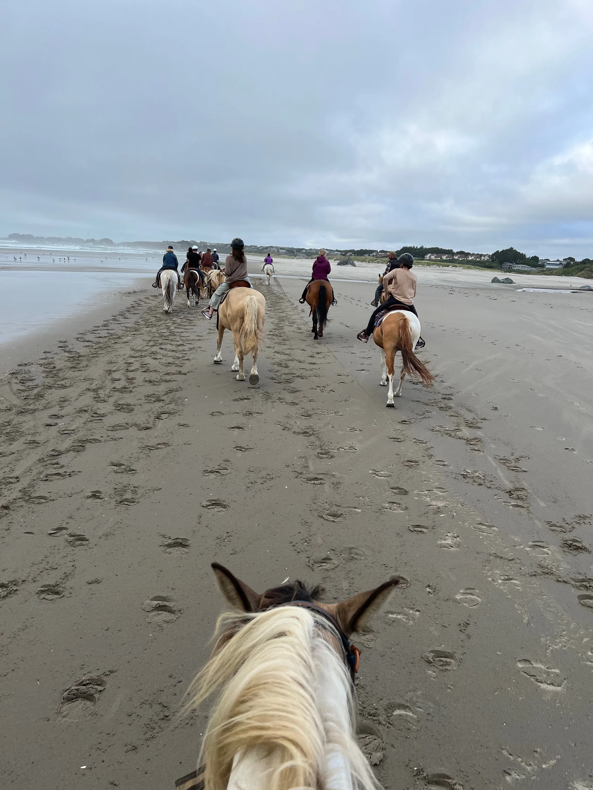 Family adventure