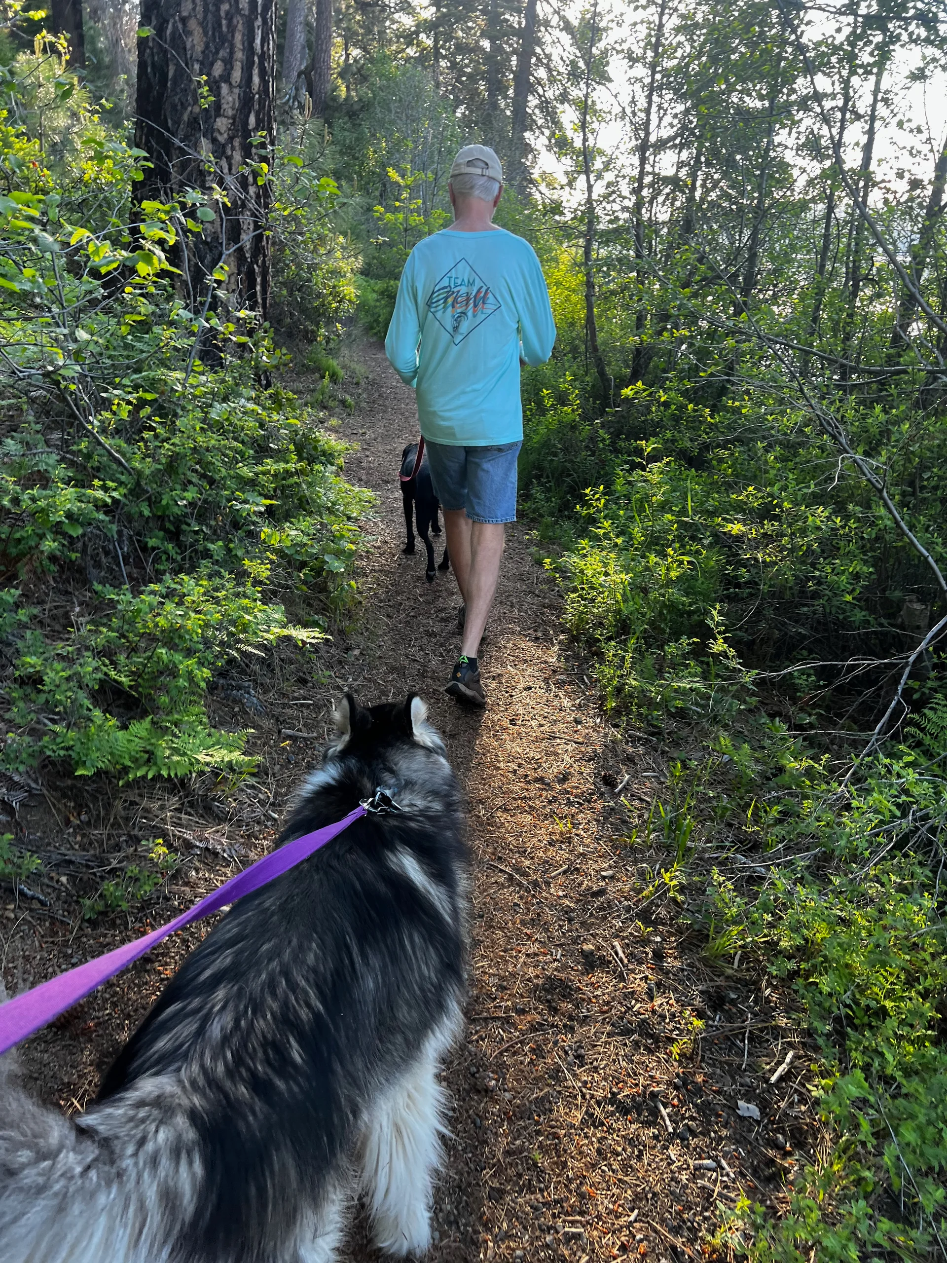 Family adventure