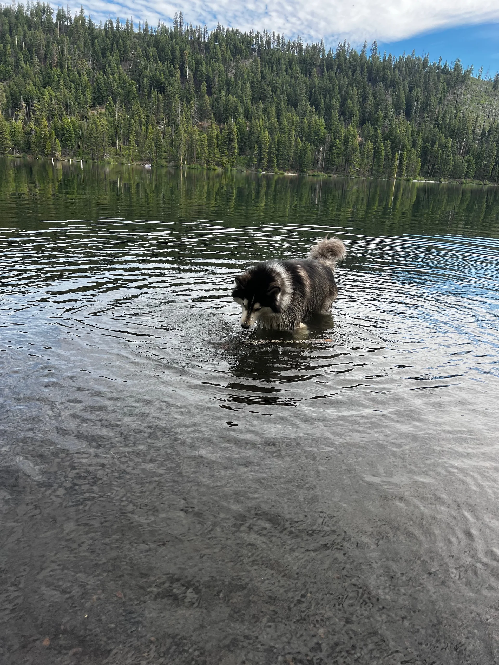 Family adventure