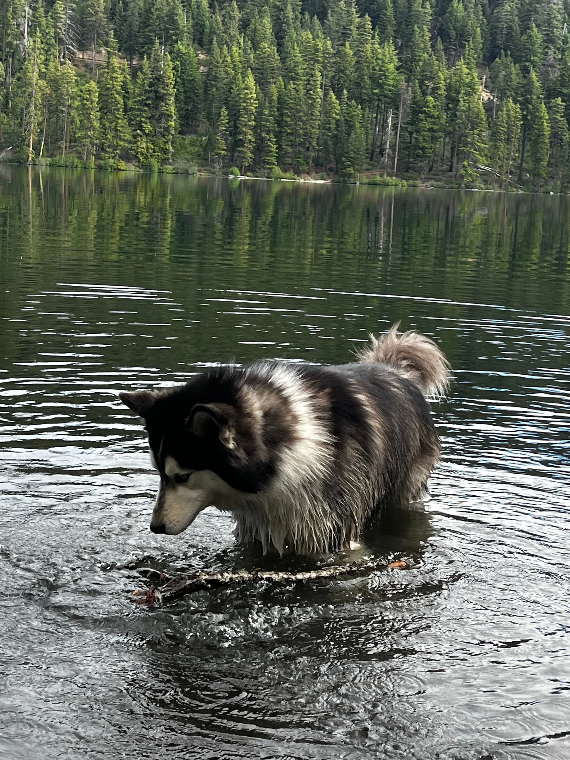 Family adventure