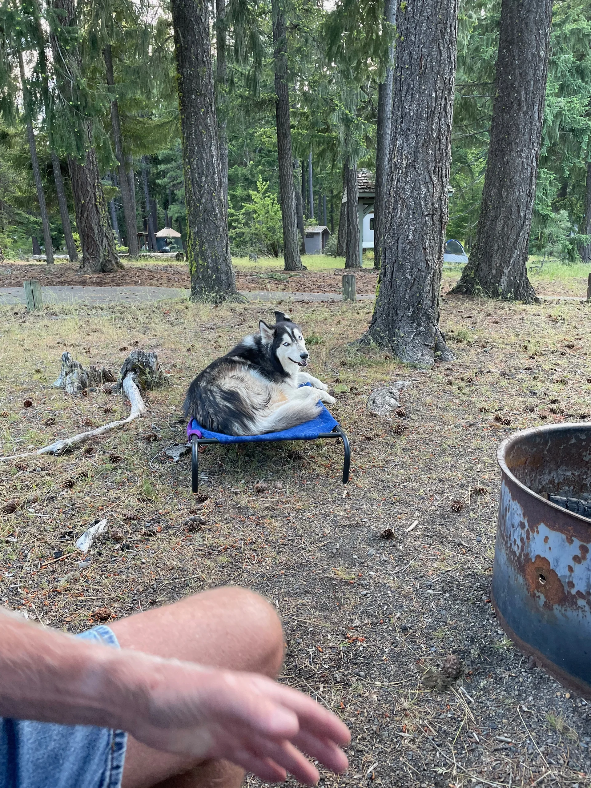 Family adventure