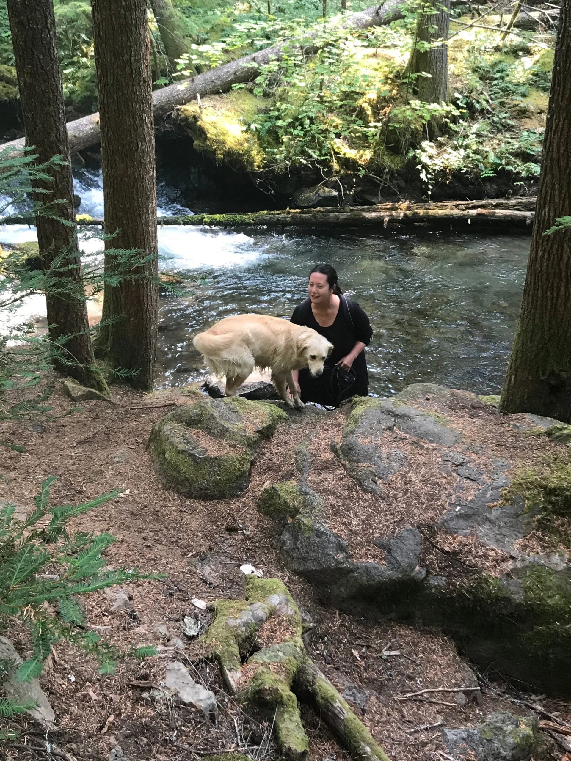 Family adventure
